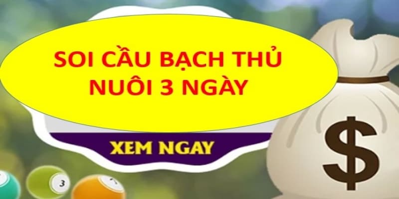 Theo dõi lô về trong 10 - 15 ngày để soi bạch thủ lô khung 3 ngày